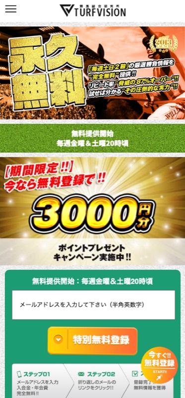 ターフビジョン